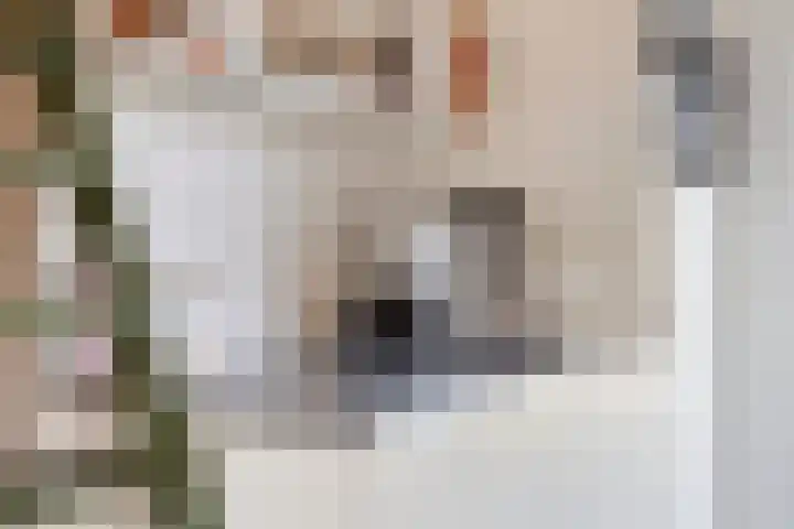 Smaragdstraat 15 Amsterdam thumbnail 11