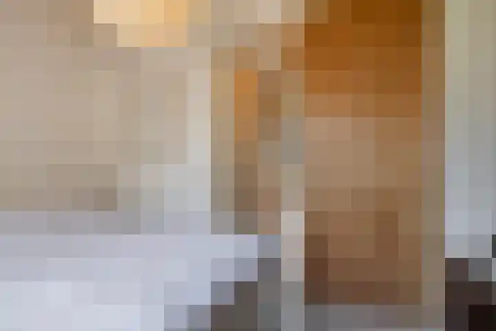 Smaragdstraat 15 Amsterdam thumbnail 19