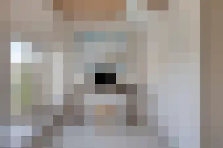 Smaragdstraat 15 Amsterdam thumbnail 4