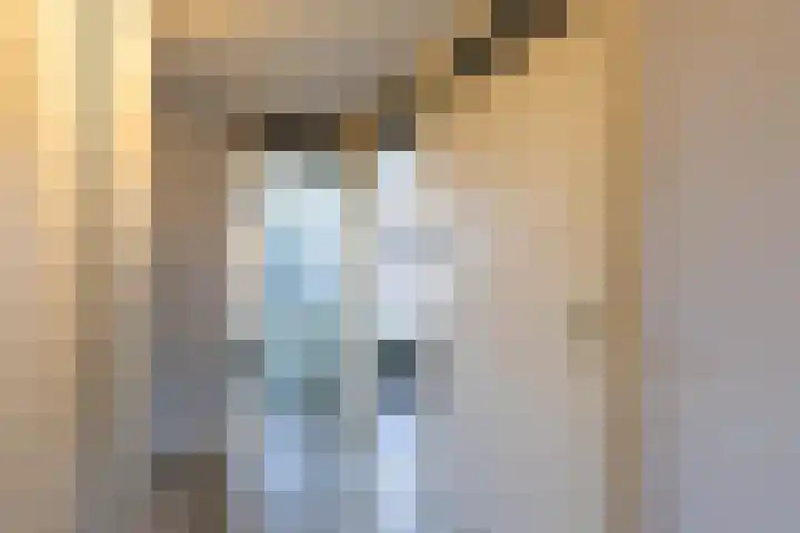 Smaragdstraat 15 Groningen thumbnail 28