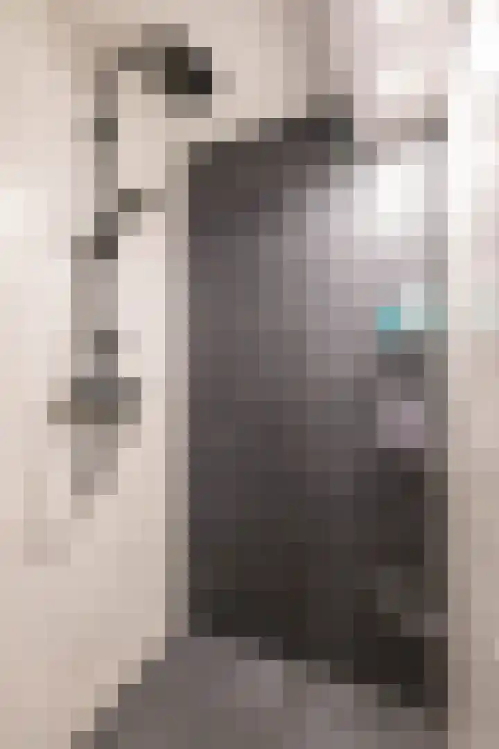Smaragdstraat 15 Groningen thumbnail 36