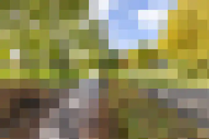 Smaragdstraat 15 Groningen thumbnail 40