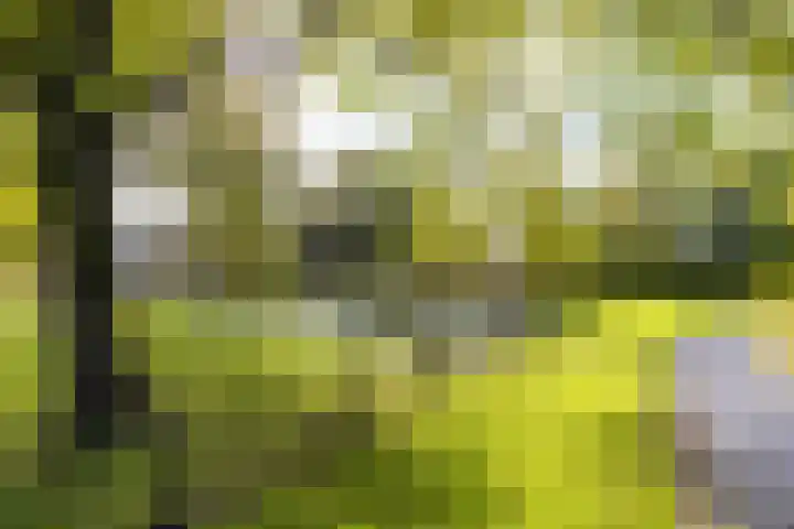 Smaragdstraat 15 Groningen thumbnail 41
