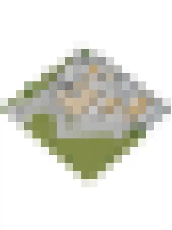 Smaragdstraat 20 Enschede thumbnail 52