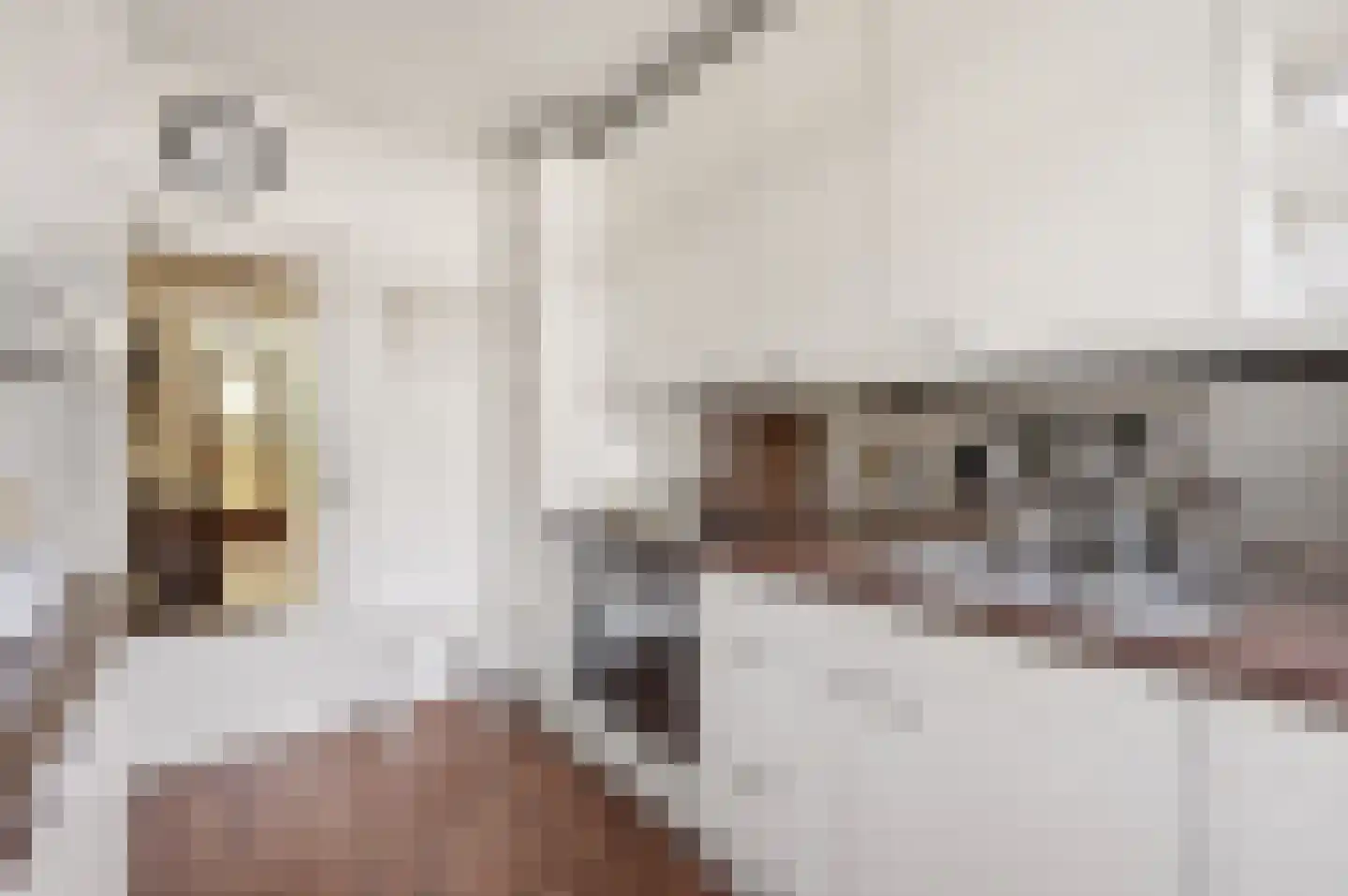 Smaragdstraat 21 Apeldoorn thumbnail 15