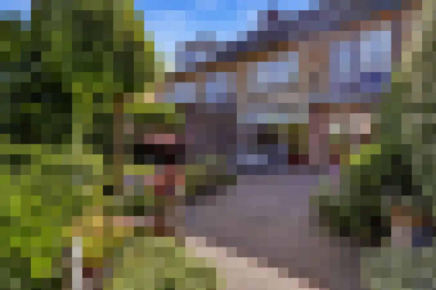 Smaragdstraat 21 Apeldoorn thumbnail 19