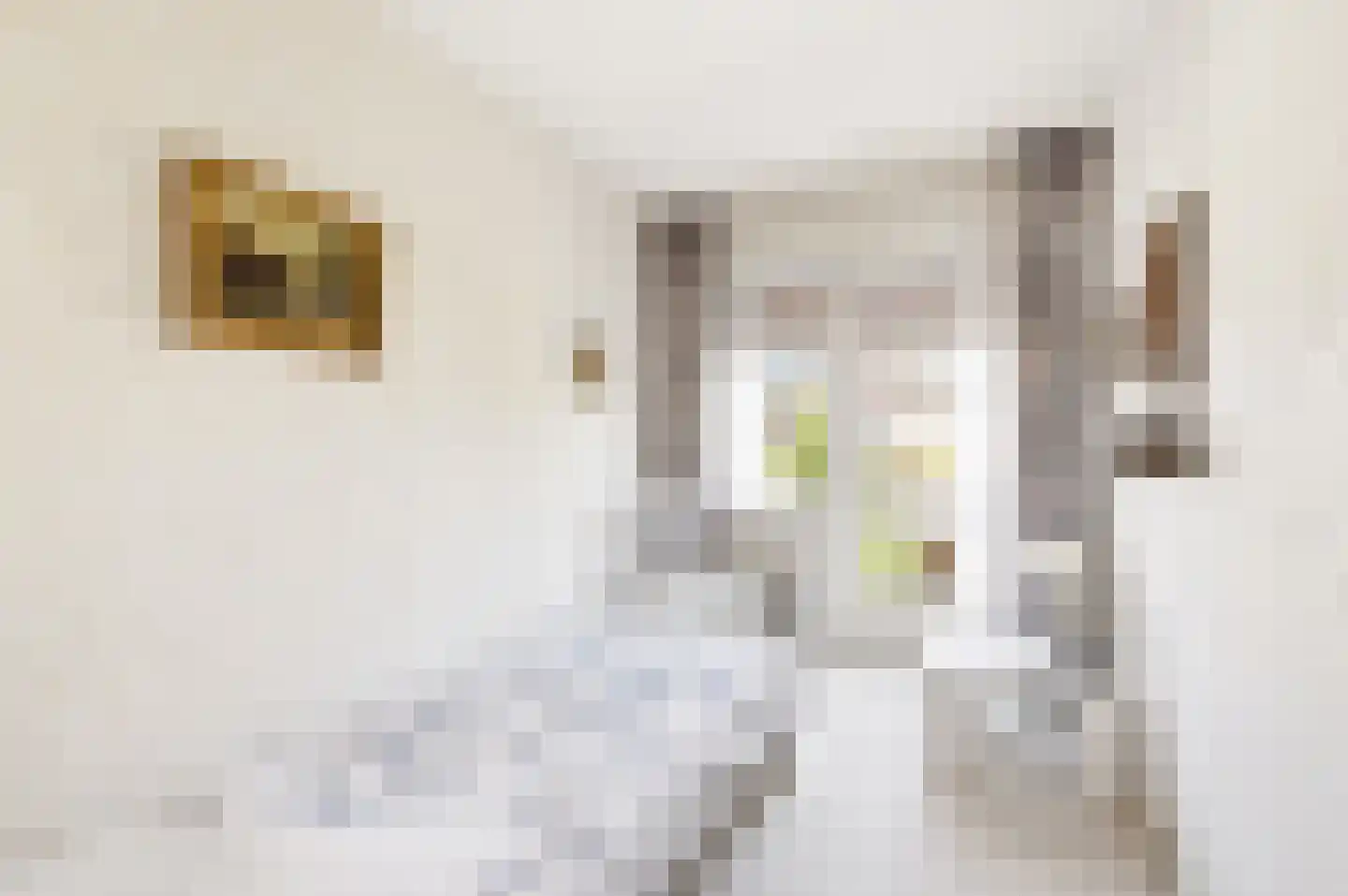Smaragdstraat 21 Apeldoorn thumbnail 29