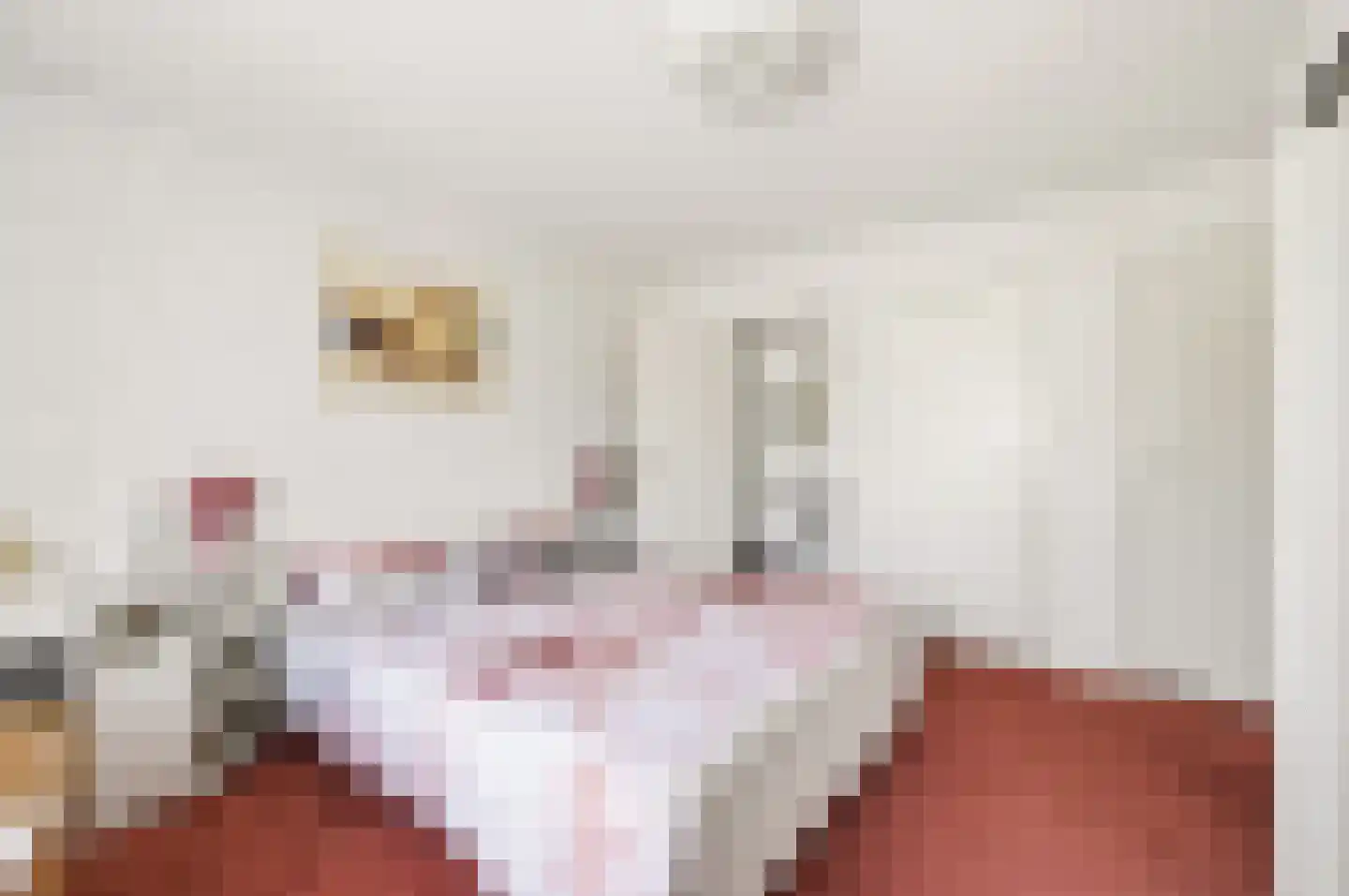 Smaragdstraat 21 Apeldoorn thumbnail 31