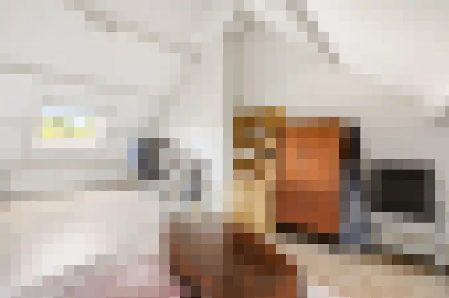 Smaragdstraat 21 Apeldoorn thumbnail 34