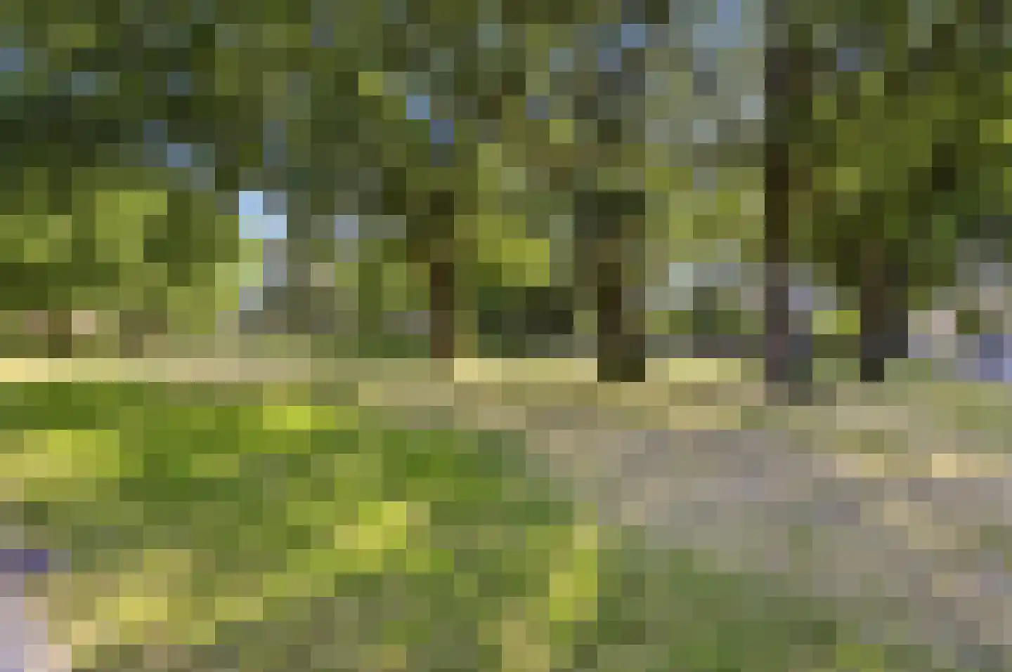 Smaragdstraat 21 Apeldoorn thumbnail 39