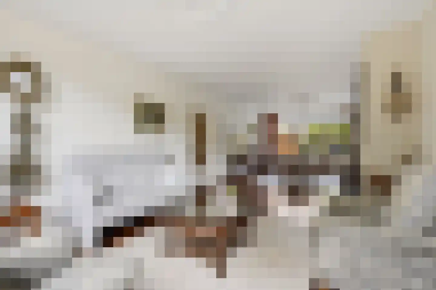 Smaragdstraat 21 Apeldoorn thumbnail 8