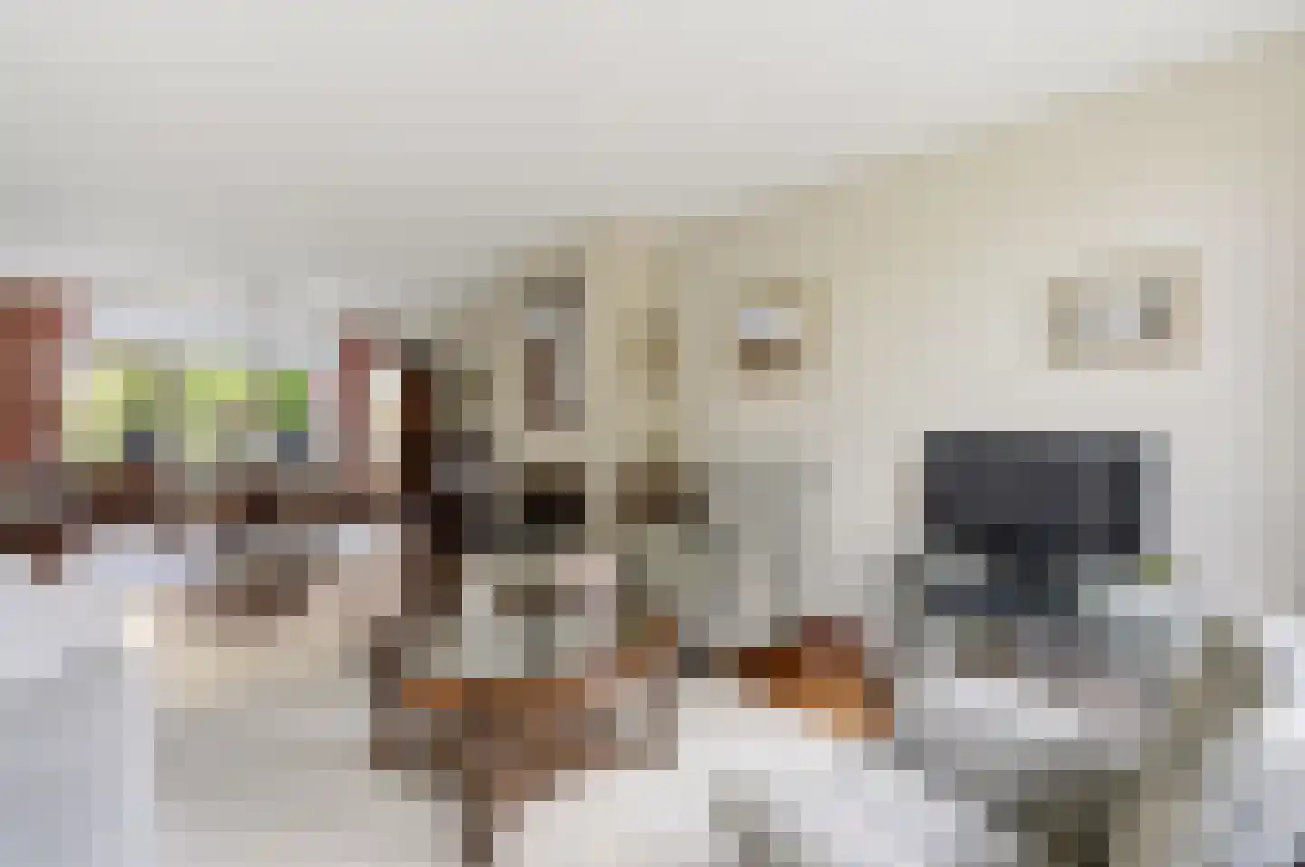 Smaragdstraat 21 Apeldoorn thumbnail 9