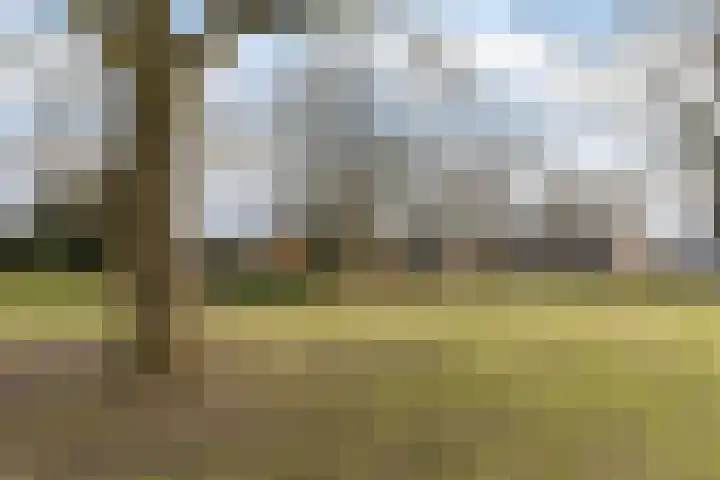 Smaragdstraat 25 Apeldoorn thumbnail 39