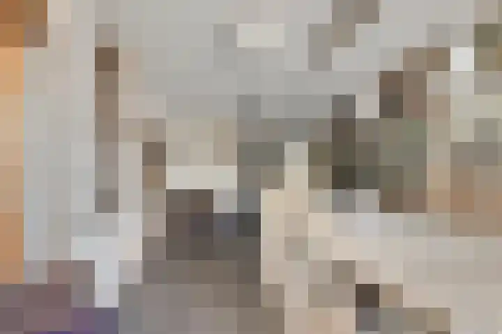 Smaragdstraat 27 Groningen thumbnail 16