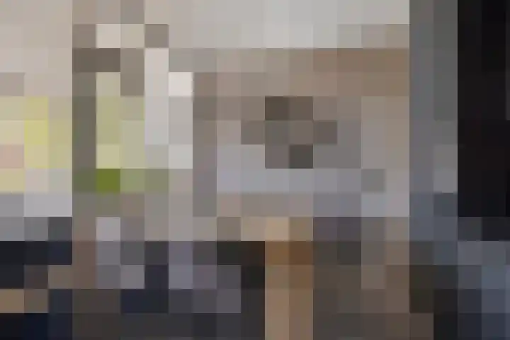 Smaragdstraat 27 Groningen thumbnail 22