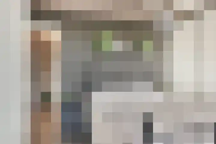 Smaragdstraat 27 Groningen thumbnail 29