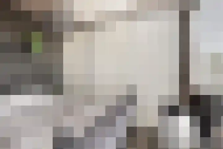 Smaragdstraat 27 Groningen thumbnail 31