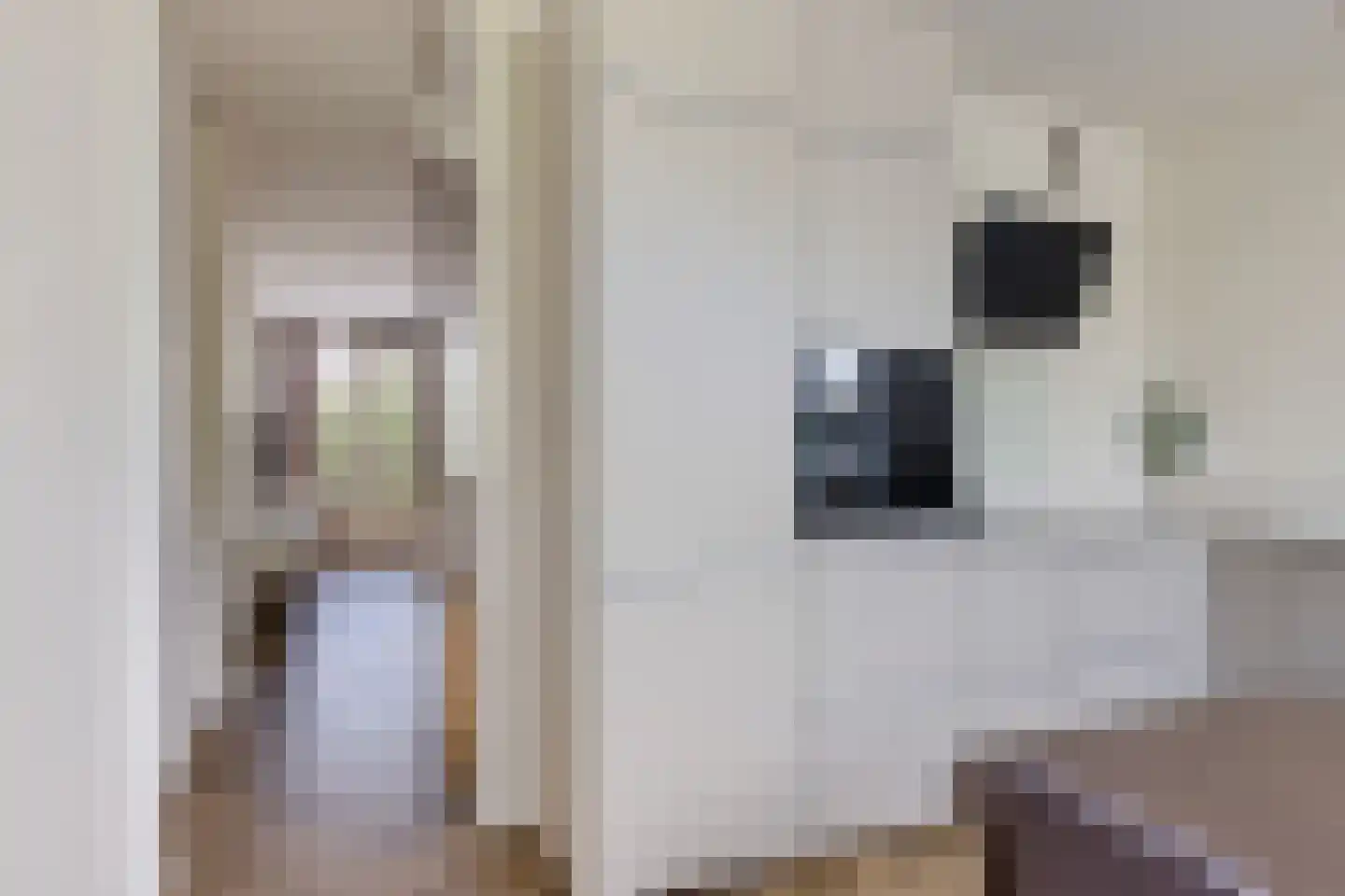 Smaragdstraat 28 Groningen thumbnail 12