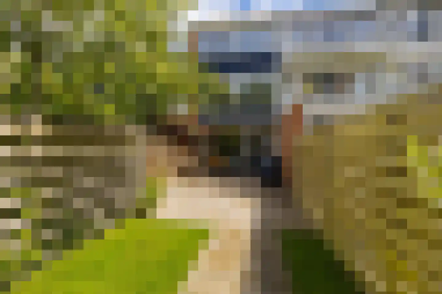 Smaragdstraat 28 Groningen thumbnail 31