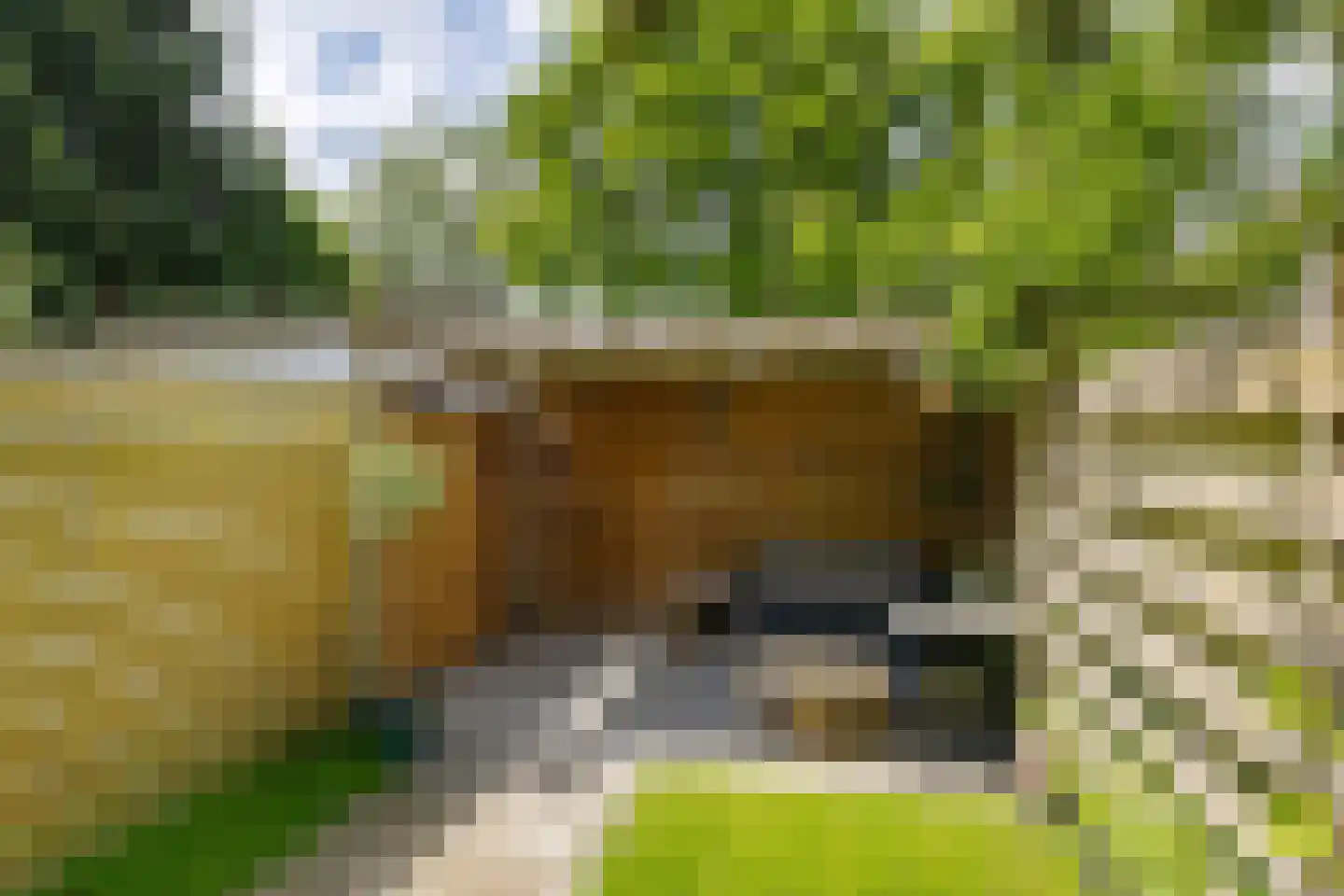 Smaragdstraat 28 Groningen thumbnail 34