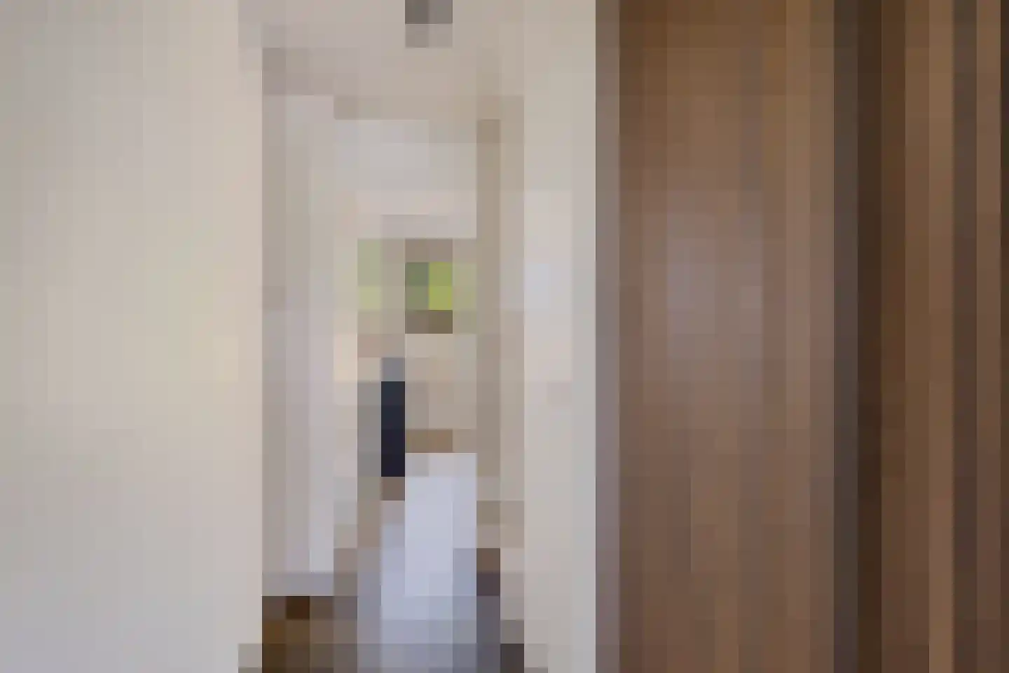 Smaragdstraat 28 Groningen thumbnail 9