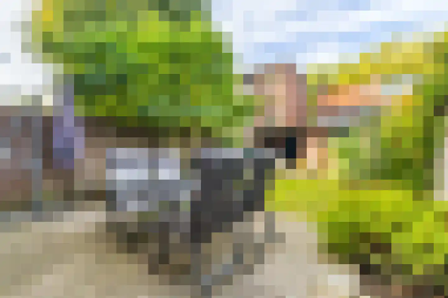 Smaragdstraat 30 Breda thumbnail 40