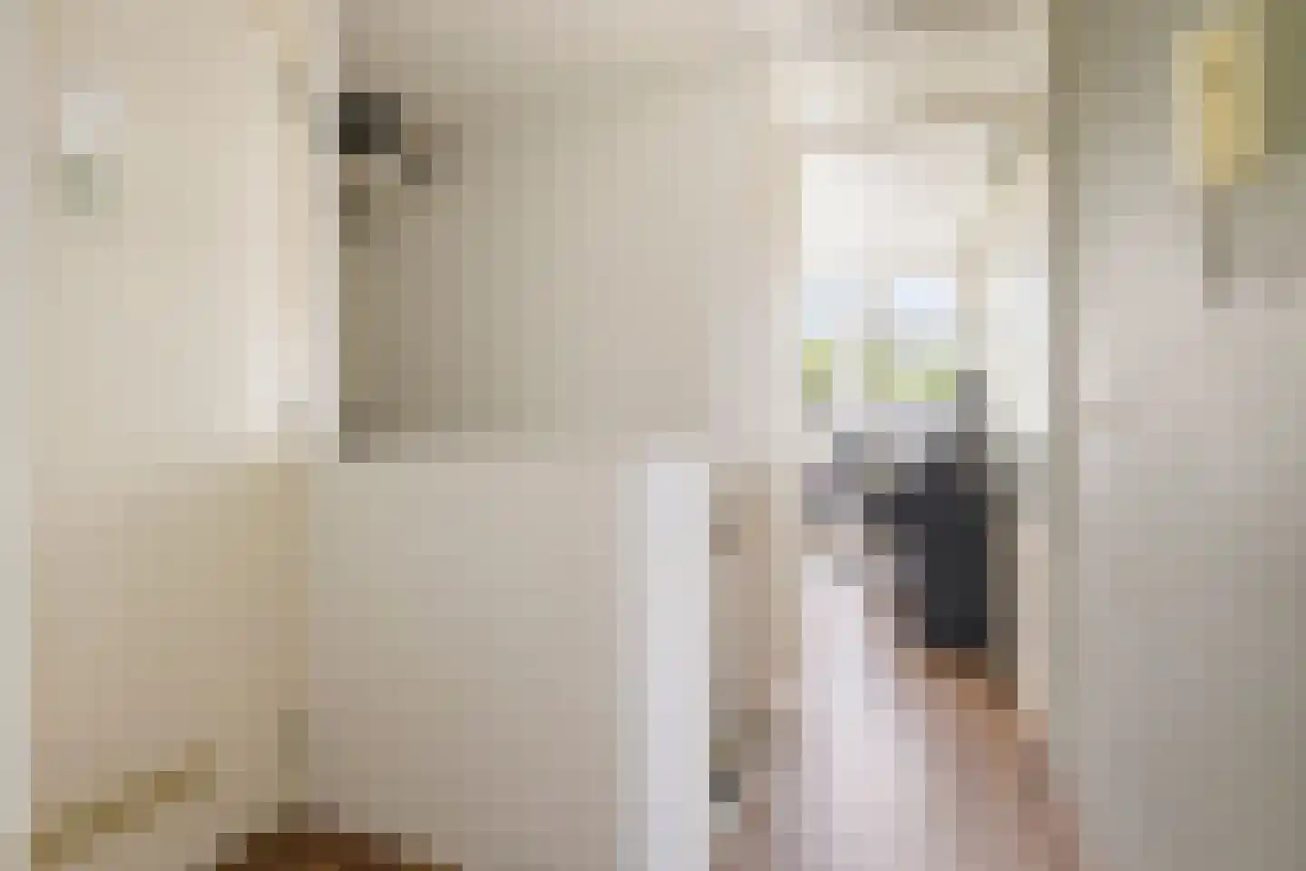 Smaragdstraat 31 b Groningen thumbnail 17