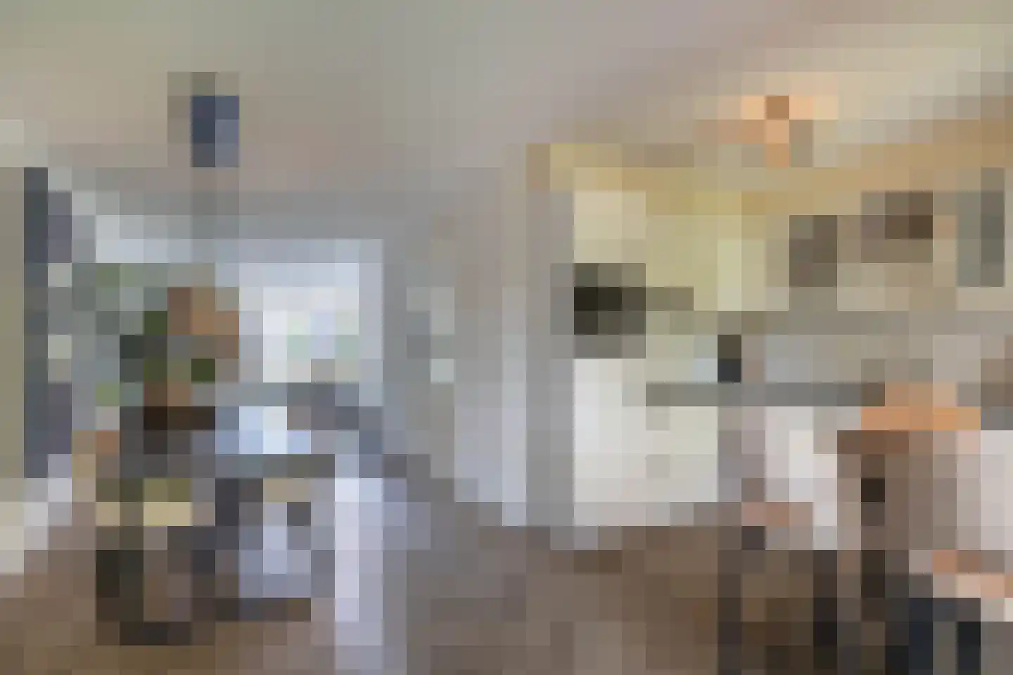 Smaragdstraat 46 Almelo thumbnail 10