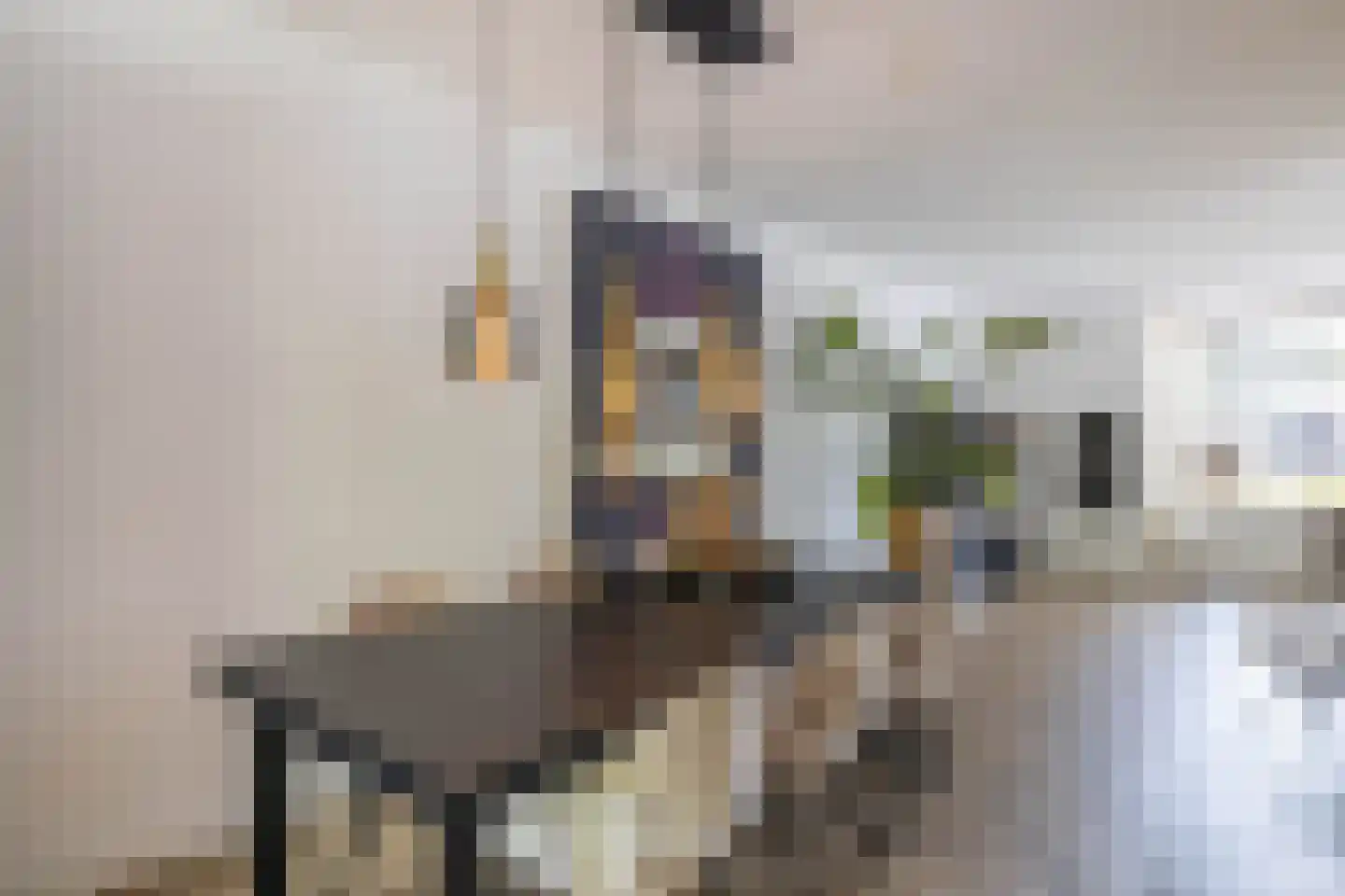 Smaragdstraat 46 Almelo thumbnail 11