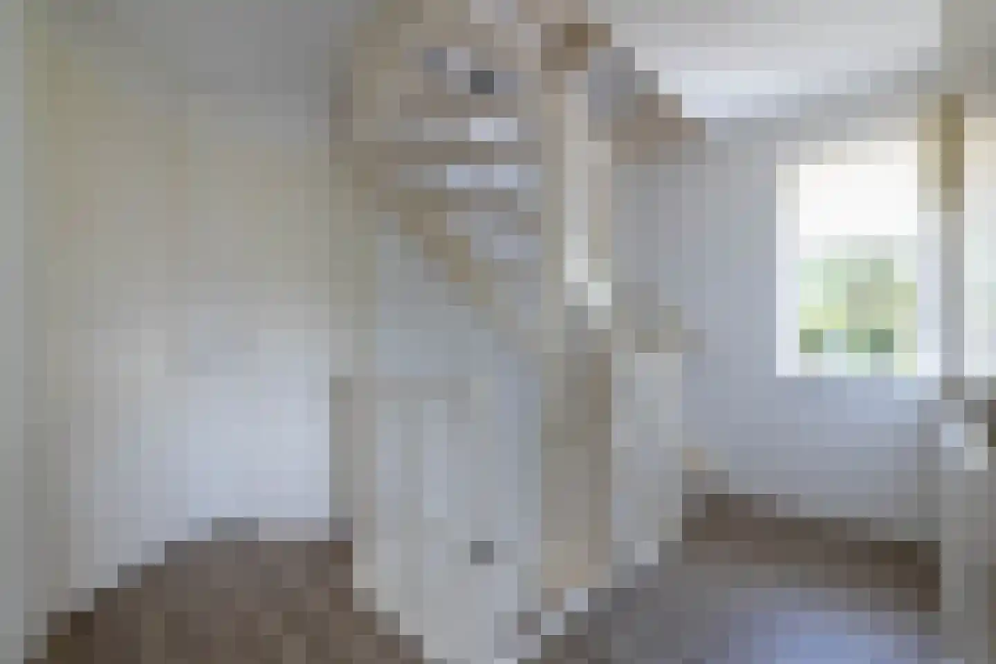 Smaragdstraat 46 Almelo thumbnail 17