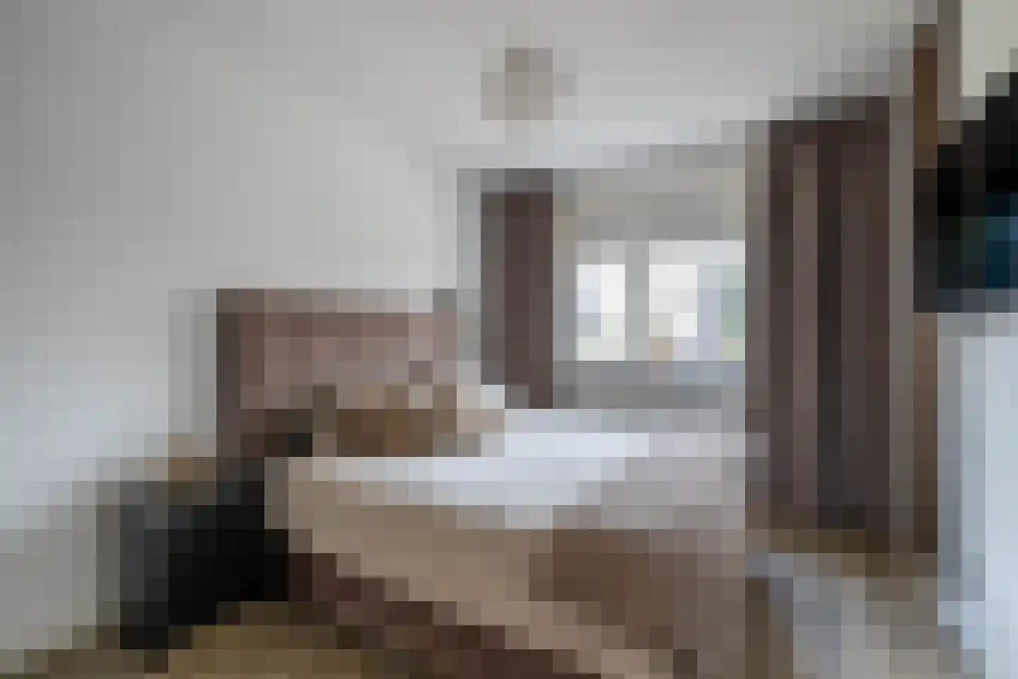 Smaragdstraat 46 Almelo thumbnail 21