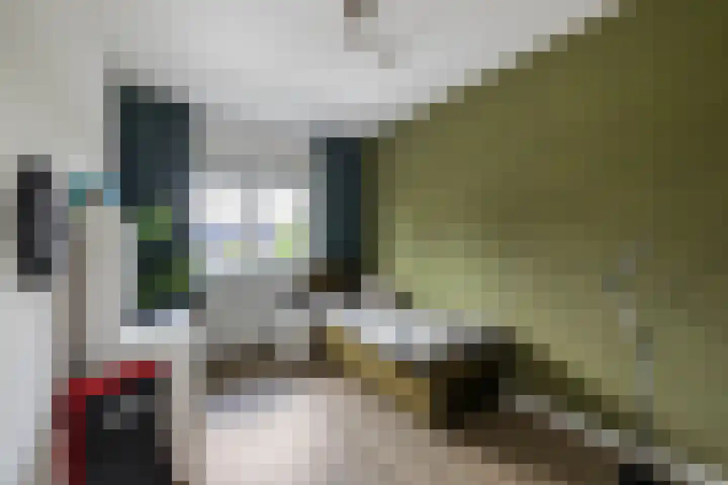Smaragdstraat 46 Almelo thumbnail 23