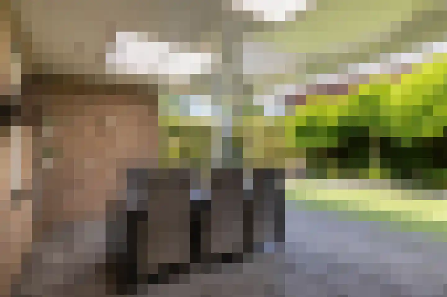 Smaragdstraat 46 Almelo thumbnail 26