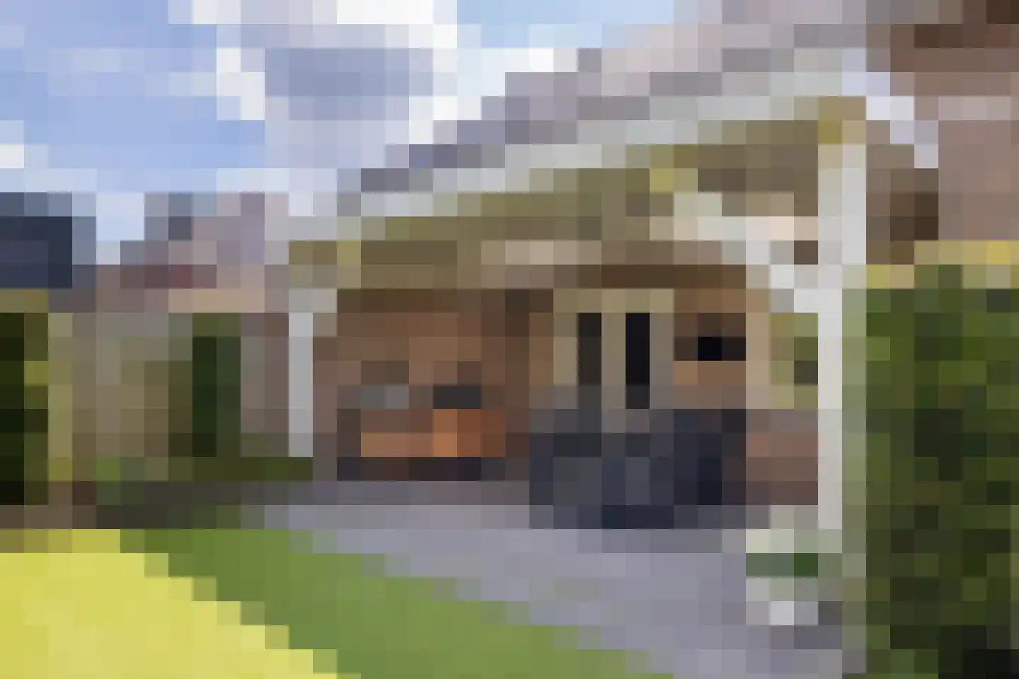 Smaragdstraat 46 Almelo thumbnail 27