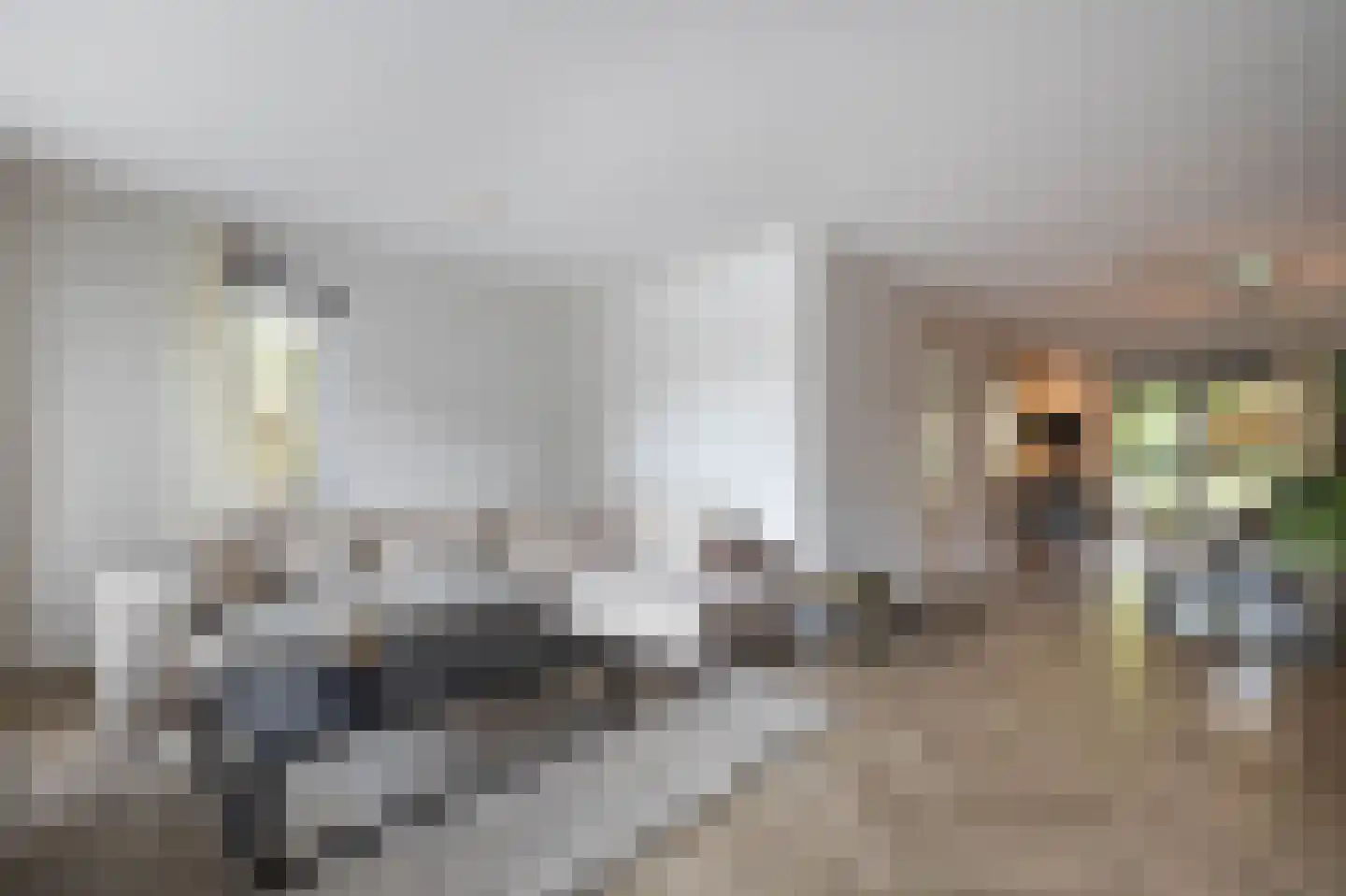 Smaragdstraat 46 Almelo thumbnail 8
