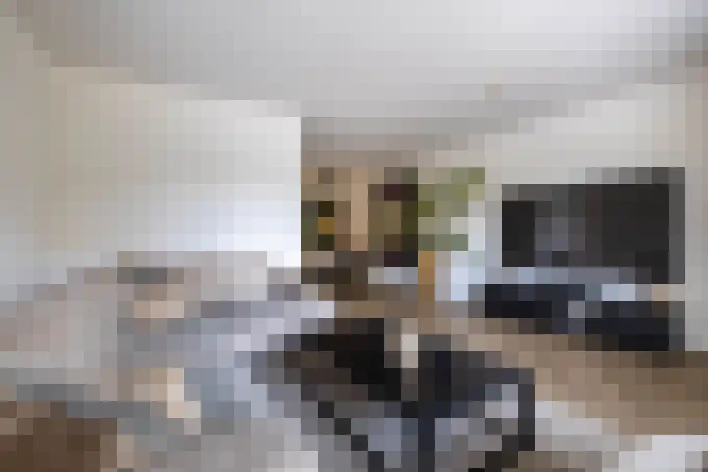 Smaragdstraat 46 Almelo thumbnail 9