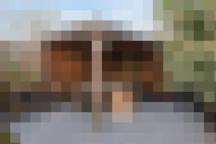 Smaragdstraat 57 Almelo thumbnail 26