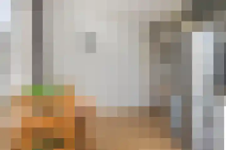 Smaragdstraat 7 Groningen thumbnail 15
