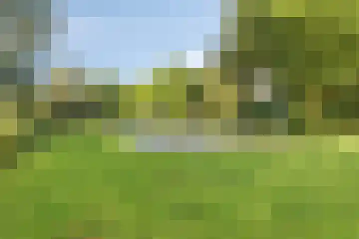 Smaragdstraat 7 Groningen thumbnail 29