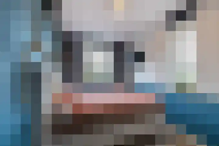 Smaragdstraat 76 Almelo thumbnail 17