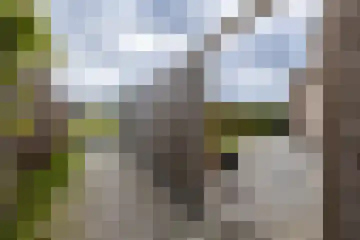 Smaragdstraat 76 Almelo thumbnail 31