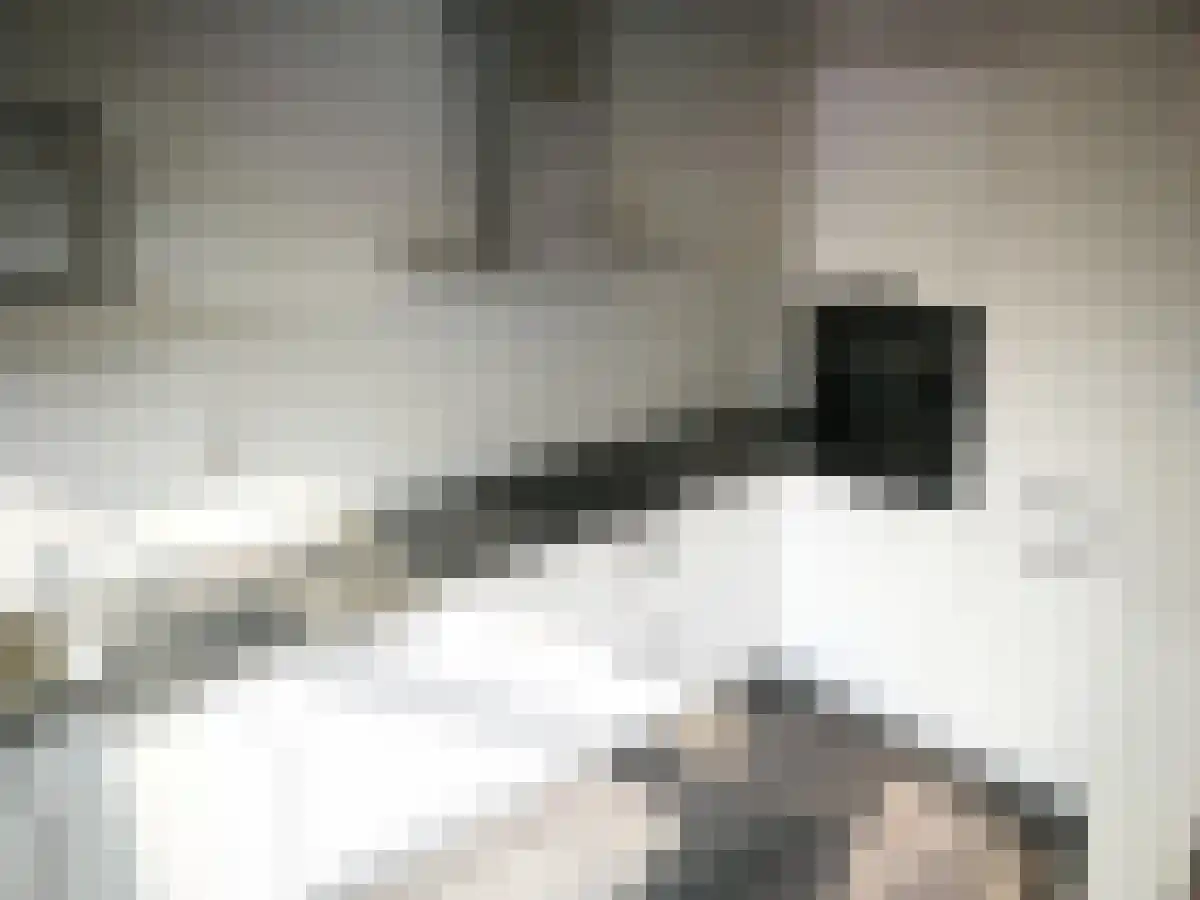 Smaragdstraat 8 Groningen thumbnail 4