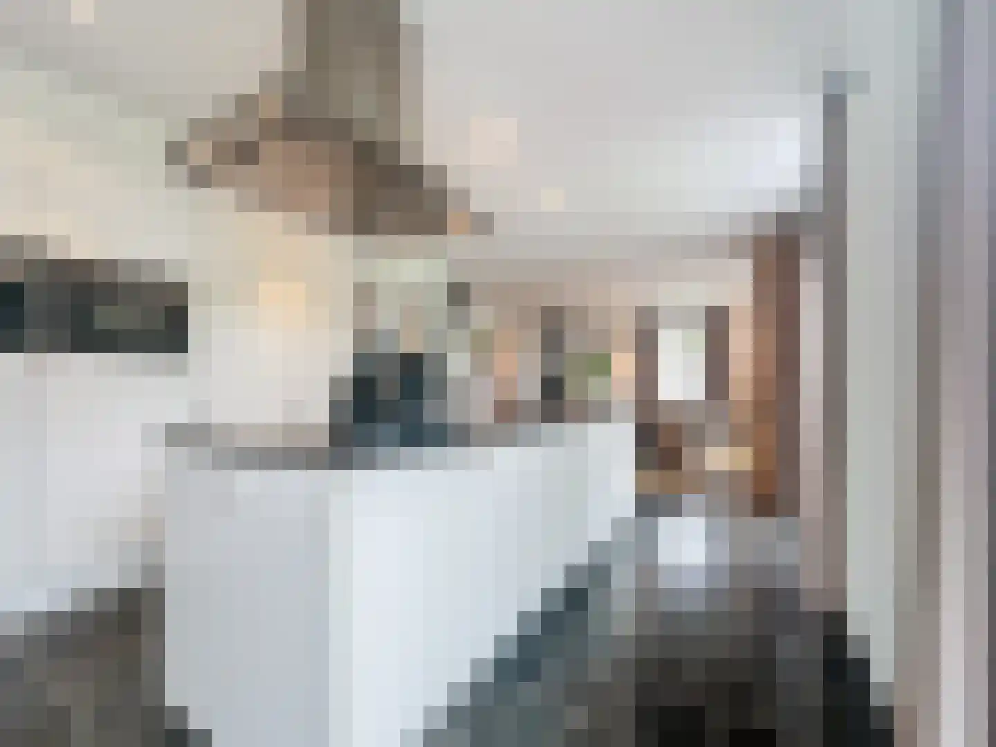 Smedekensbrugge 14 Aardenburg thumbnail 12