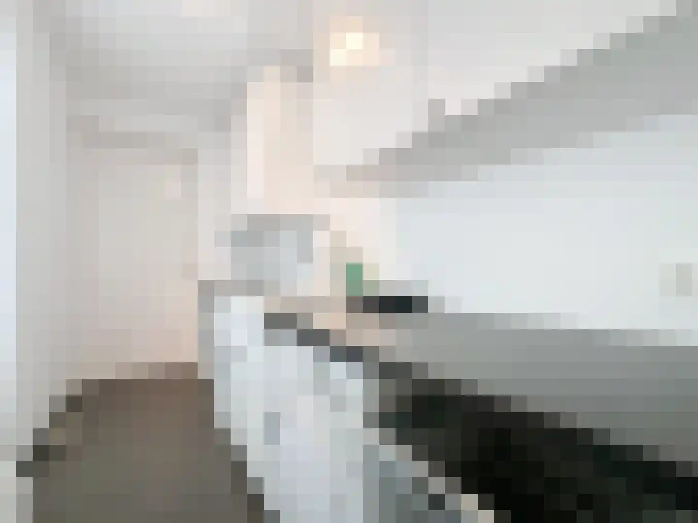 Smedekensbrugge 14 Aardenburg thumbnail 16