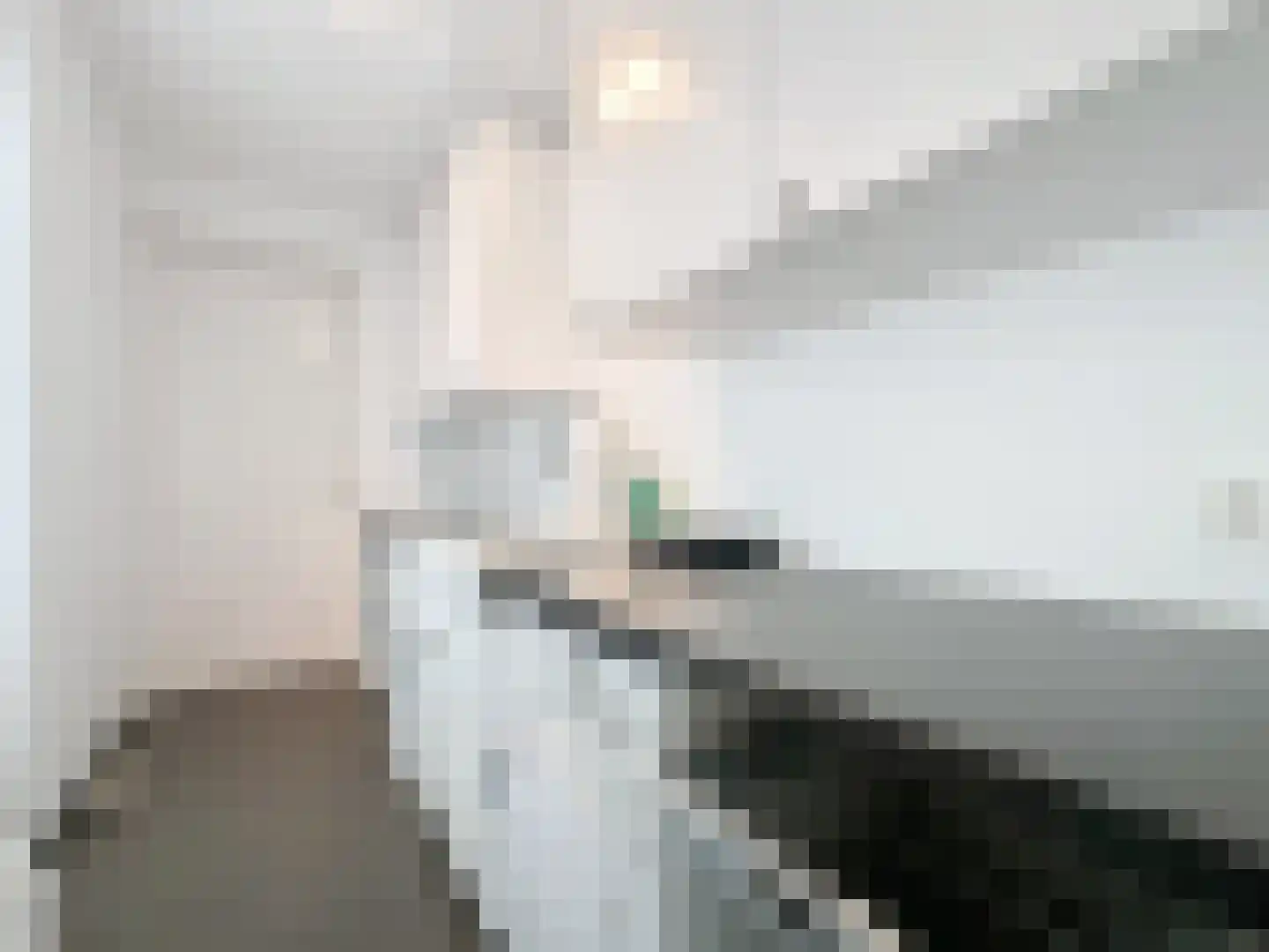 Smedekensbrugge 14 Aardenburg thumbnail 16