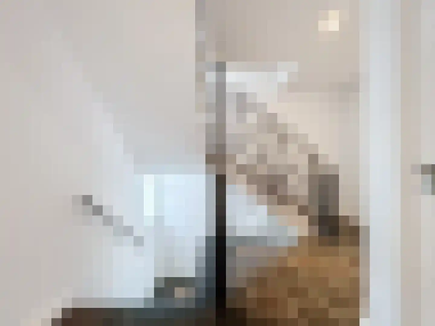 Smedekensbrugge 14 Aardenburg thumbnail 18