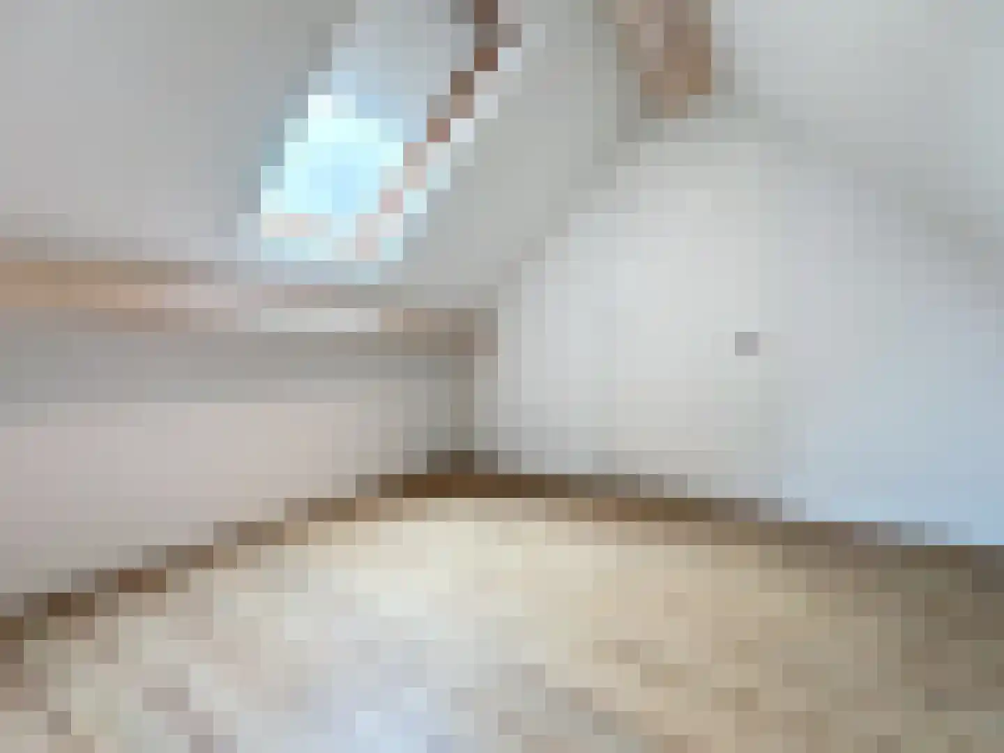 Smedekensbrugge 14 Aardenburg thumbnail 31