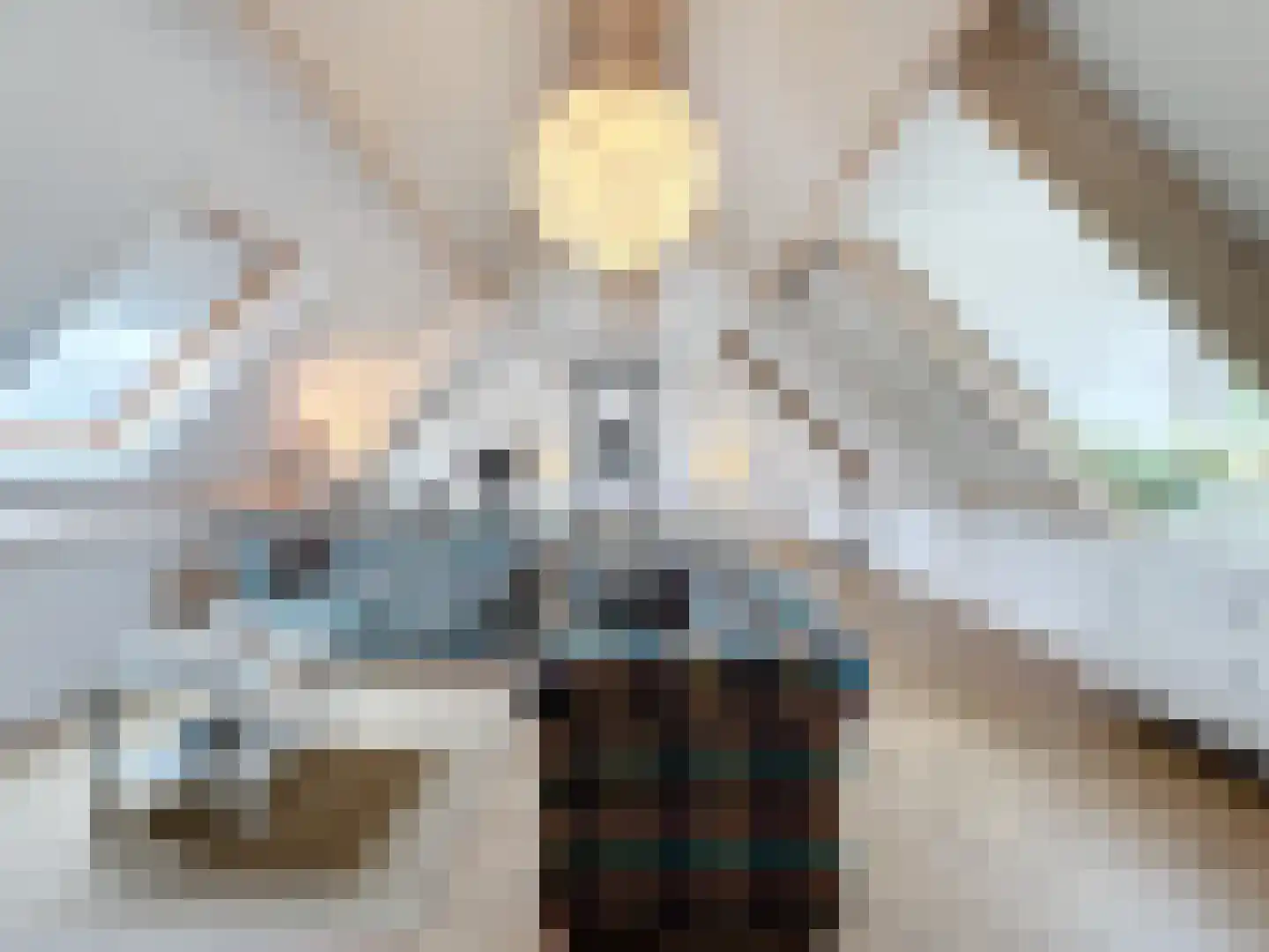 Smedekensbrugge 14 Aardenburg thumbnail 32