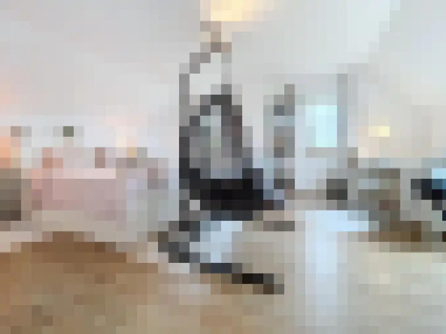 Smedekensbrugge 14 Aardenburg thumbnail 37