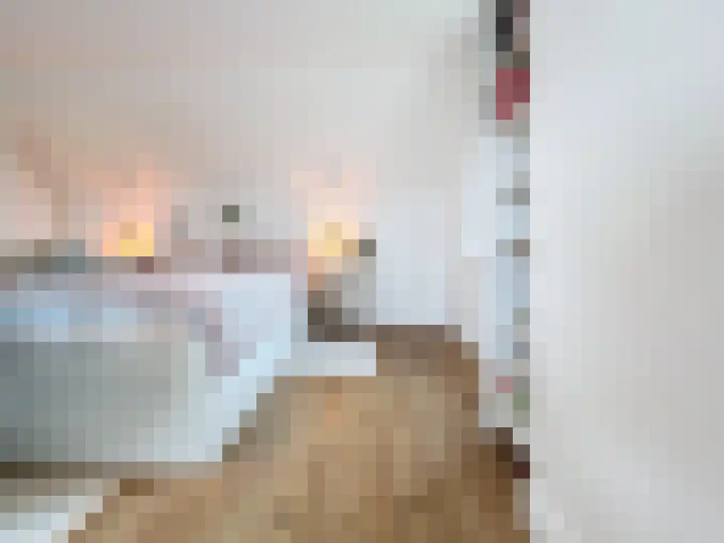 Smedekensbrugge 14 Aardenburg thumbnail 38